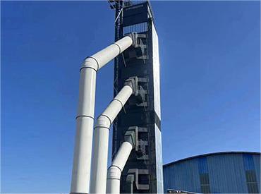 「最美巾幗賣糧人」朱海霞：帶領全村農戶走上致富路